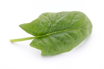 Obraz premium Fresh leaves of spinach on the white background.