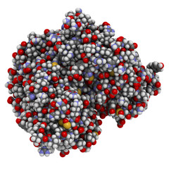 Estrogen receptor (ligand binding domain), bound to bisphenol A (BPA). 3D rendering based on protein data bank entry 3uu7.
