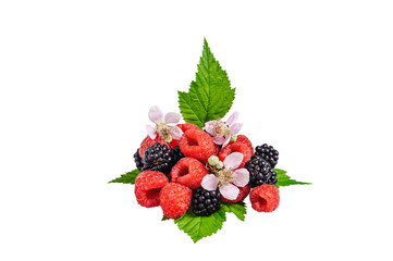 heap forest berries with blossom flower isolated on a white background