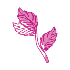 Fototapeta na wymiar Mint plant leaves icon vector illustration graphic design