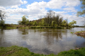 A tree above the river bend and the blue sky