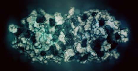 Miraculin (miraculin-like protein from Murraya koenigii or curry tree). Miraculin is a protein with sweetening properties, extracted from the berry of Synsepalum dulcificum or miracle fruit. 