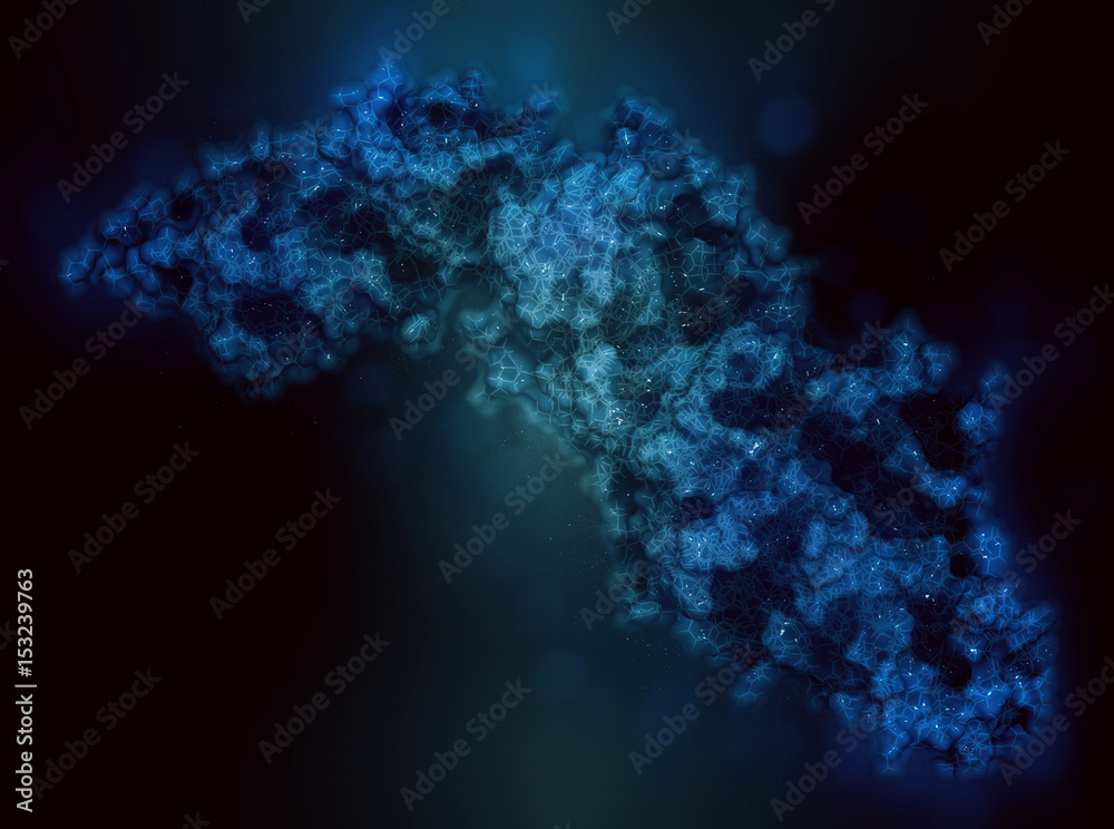 Wall mural Peptidylarginine deiminase 4 (PAD4, SNP variant) enzyme. Catalyzes citrullination of proteins, i.e. conversion of arginine residues to citrulline (post-translational modification).