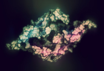 Placental growth factor (PlGF, receptor binding domain) protein. 3D rendering based on protein data bank entry 1rv6.