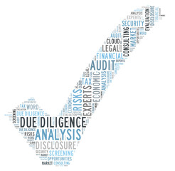 Due Diligence word cloud