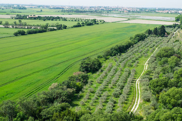 Fototapeta premium France,Arles, view from Abbey of Saint Peter of Montmajour, Benedictine order, established in 949 AD
