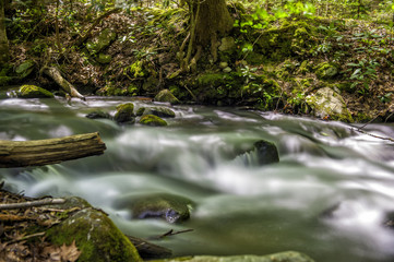 Creekside Tranquility