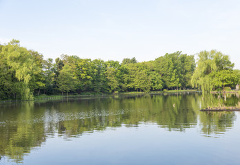石神井公園の風景（東京都練馬区）