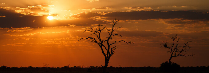 Obraz na płótnie Canvas Sunset - Chobe N.P. Botswana, Africa