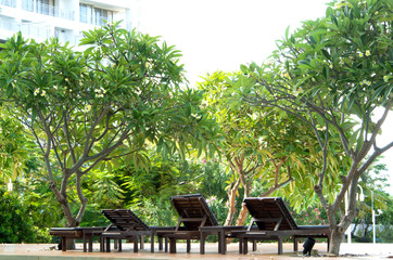 Outdoor wooden daybed under the tree