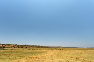 Chobe N.P. Botswana, Africa