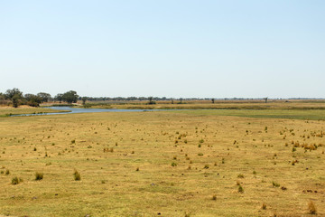Obraz na płótnie Canvas Chobe N.P. Botswana, Africa