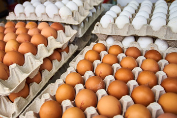 eggs market. fresh eggs
