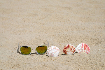 Fototapeta na wymiar Sunglasses and seashell on beach sand background, summer holiday vacation background