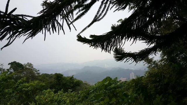 View over oldtown Taipei from Elephant mounatin