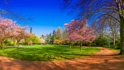 Spring Park landscape. Panoramic view of a park