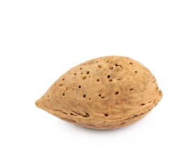 Single almond nut isolated