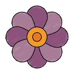 beautiful flower icon over white background. colorful design.  vector illustration