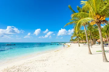 Printed roller blinds Beach and sea Akumal beach - paradise bay  Beach in Quintana Roo, Mexico - caribbean coast