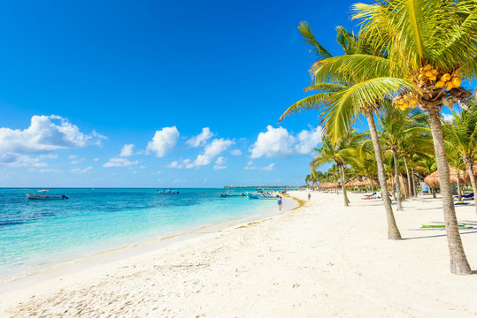 Fototapeta Plaża Akumal - rajska plaża Plaża w Quintana Roo, Meksyk - wybrzeże Karaibów