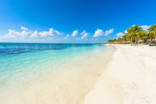 Akumal beach - paradise bay  Beach in Quintana Roo, Mexico - caribbean coast