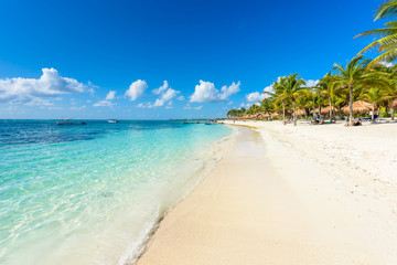 Akumal beach - paradise bay  Beach in Quintana Roo, Mexico - caribbean coast