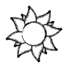 sun icon over white background. vector illustration