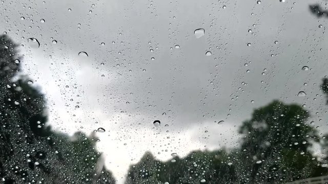 Driving rain on windshield of car looking at  sky, trees and clouds go by.