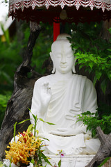 Stock Photo - white buddha image sitting under the tree