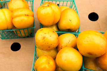Baskets of imperfect yellow plums. Close up detail. Top view.