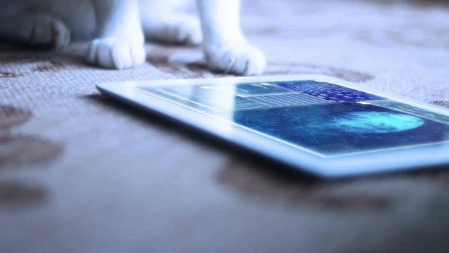 Science Fiction Futuristic Cat looking at cool generic technology screen on tablet