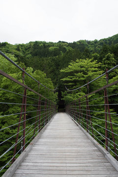新緑の森の吊り橋　縦写真