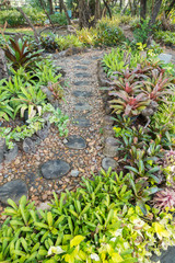 rock walk way and stump in beautiful garden