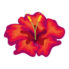 tropical flower decorative icon vector illustration design