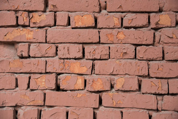 The background is an old brick wall painted with brown paint, influenced by time and natural conditions