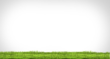 green grass meadow 3d rendering background