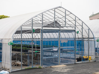 ビニールハウス