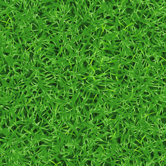 Бесшовная векторная текстура свежей зеленой травы на лужайке или газоне