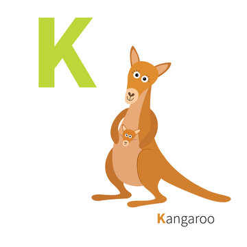 ABC english alphabet. Letter K. Kangaroo mom with baby in the pocket pouch. Cute cartoon character. Australia marsupial animal. Education card for kids. Flat design. White background. Isolated.