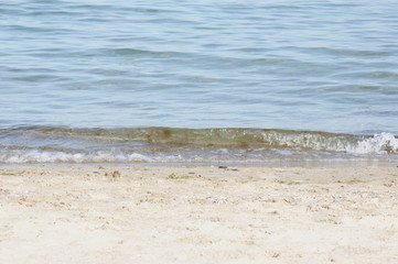 Sand beach, sea in summer