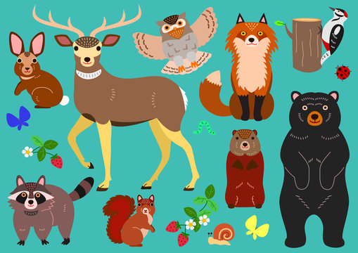 woodland animals elements set