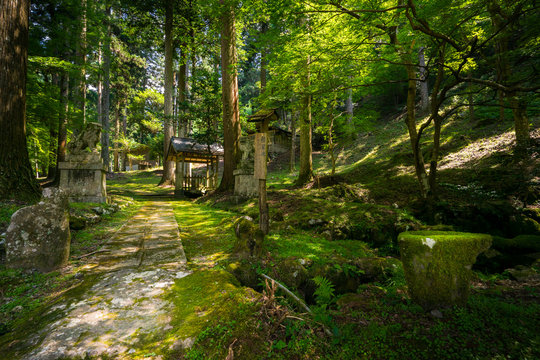 京都　道風神社