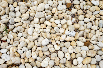 Natural round pebbles stone background