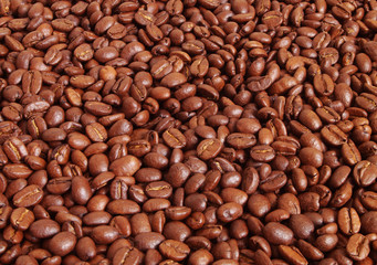 Roasted coffee beans background