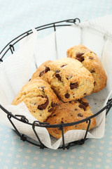 チョコチップスコーン