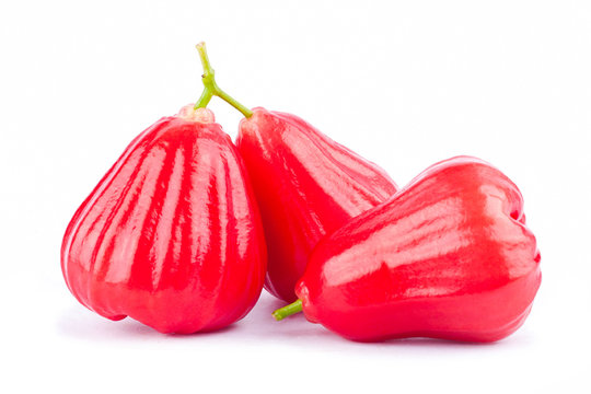red rose apple or bell fruit  on white background healthy rose apple fruit food isolated
