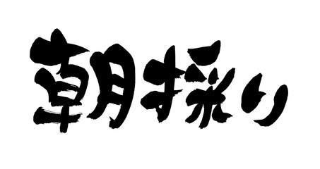 筆文字　朝採り