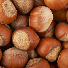 Surface coated with hazelnuts