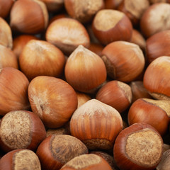 Surface coated with hazelnuts