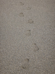 Footprints in the sand